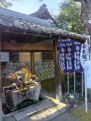 白金龍王社(愛知県)