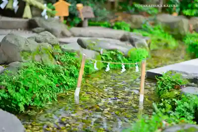 川越氷川神社(埼玉県)