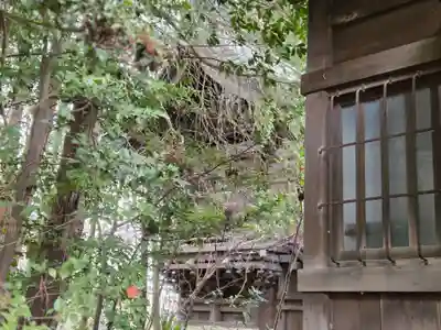 子鍬倉神社(福島県)