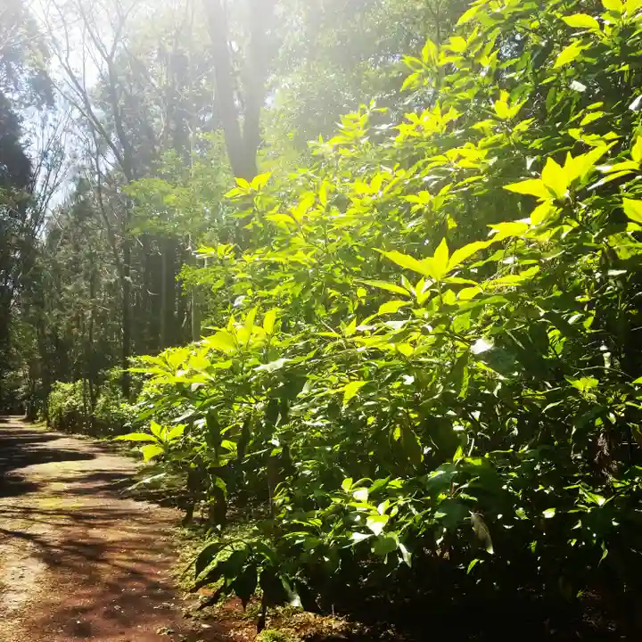 鹿島神宮の自然