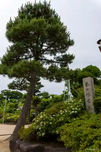 誉田八幡宮(大阪府)