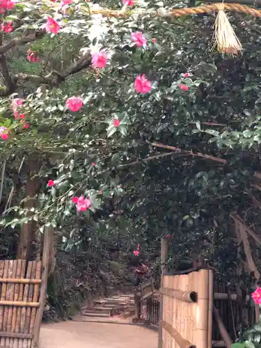 八重垣神社の周辺