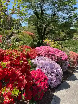 神炊館神社 ⁂奥州須賀川総鎮守⁂(福島県)