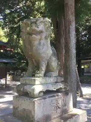 一宮浅間神社の狛犬
