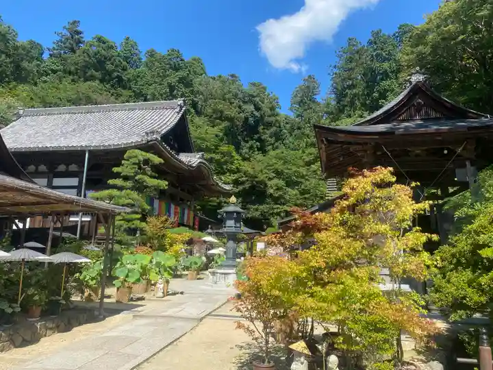 岡寺(龍蓋寺)(奈良県)