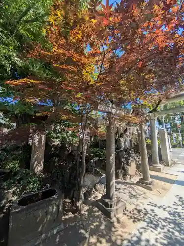 松戸神社(千葉県)