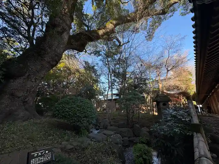 三嶋大社(静岡県)