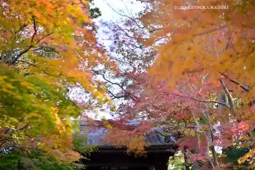 円覚寺(神奈川県)