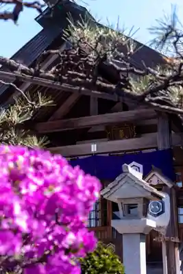亀田龍神社(北海道)