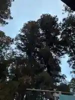 大宮温泉神社(栃木県)