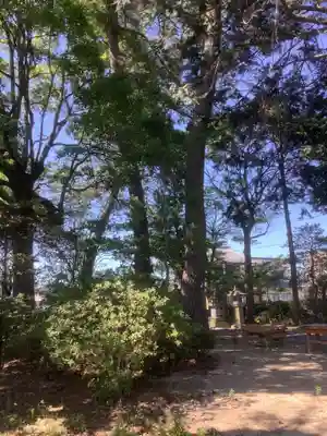 駕輿丁若宮神社(滋賀県)