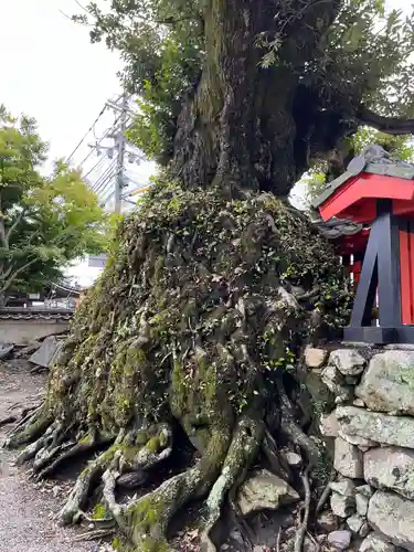 大将軍神社(滋賀県)