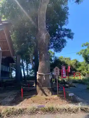 飯福神社(群馬県)