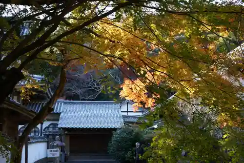 大照院(山口県)