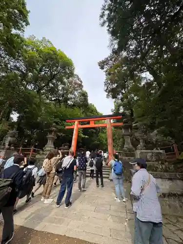 春日大社(奈良県)