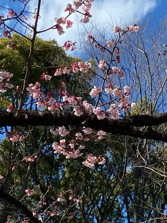 上野東照宮の自然