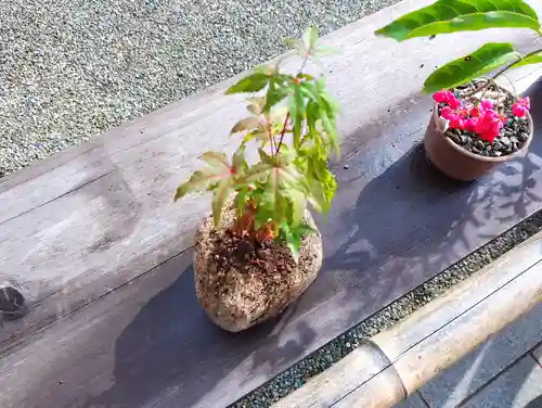 妙蓮寺(神奈川県)