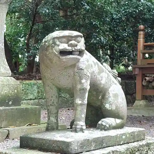 温泉神社の狛犬