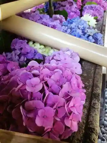 鳩森八幡神社の手水舎