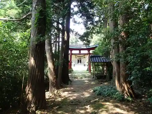 大膳神社の鳥居