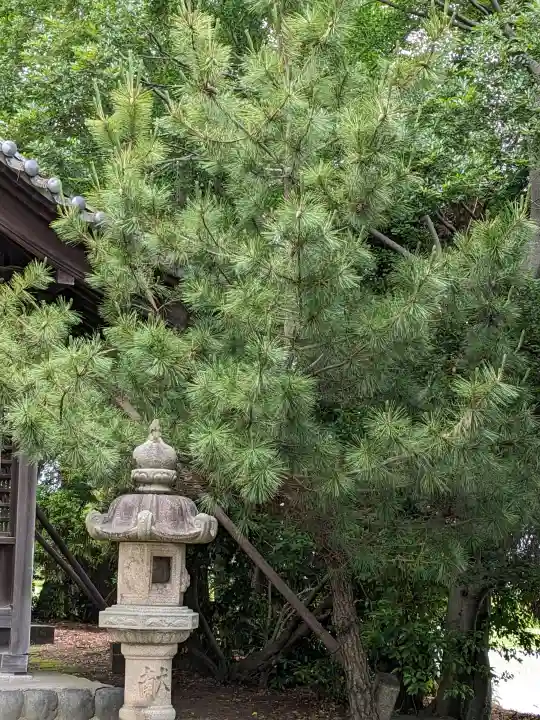 八幡社(落合八幡社)の{uncategorized: "未分類", other: "その他", undefined: "問題あり", building: "その他建物", grave: "お墓", sacred_gate: "鳥居", guardian: "狛犬", statue: "像", buddha: "仏像", history: "歴史", nature: "自然", garden: "庭園", animal: "動物", pagoda: "塔", temizu: "手水舎", mountain_gate: "山門・神門", sanctuary: "本殿・本堂", subordinate: "末社・摂社", art: "芸術", scenery: "景色", jizo: "地蔵", ema: "絵馬", goshuin: "御朱印", omikuji: "おみくじ", items: "授与品その他", amulet: "お守り", goshuincho: "御朱印帳", eats: "食事", festival: "お祭り", votive_dance: "神楽", shichigosan: "七五三参", wedding: "結婚式", experience: "体験その他", initially: "初詣", around: "周辺", anti_infection: "感染症対策"}