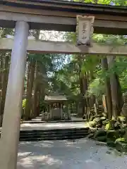 北口本宮冨士浅間神社の鳥居