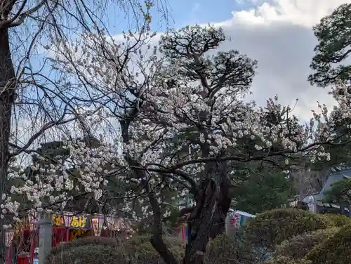 開成山大神宮(福島県)