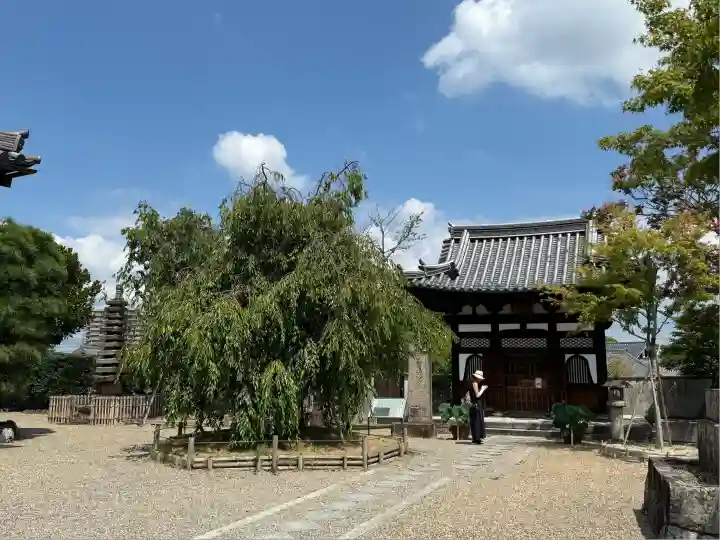 平等院(京都府)