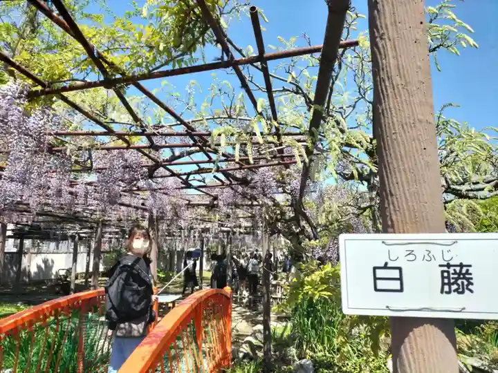 行興寺(静岡県)