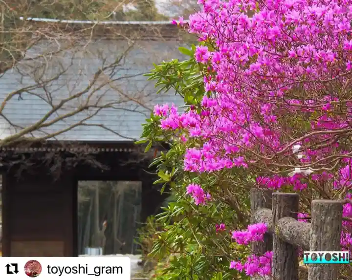 普門寺(切り絵御朱印発祥の寺)の自然