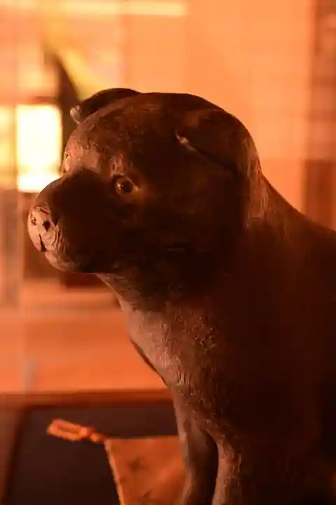 高山寺(京都府)