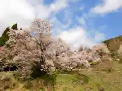 仏隆寺(奈良県)