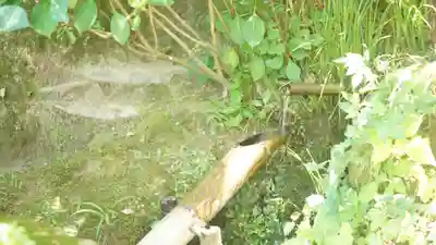 詩仙堂(丈山寺)(京都府)