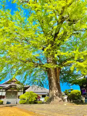 地蔵寺(徳島県)