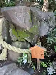 川越氷川神社(埼玉県)