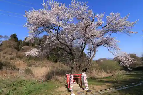 宇賀神さまの景色