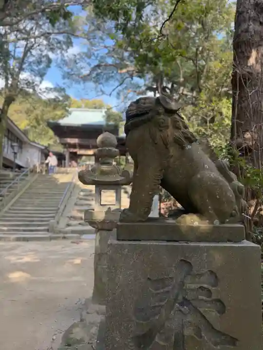 志賀海神社の{uncategorized: "未分類", other: "その他", undefined: "問題あり", building: "その他建物", grave: "お墓", sacred_gate: "鳥居", guardian: "狛犬", statue: "像", buddha: "仏像", history: "歴史", nature: "自然", garden: "庭園", animal: "動物", pagoda: "塔", temizu: "手水舎", mountain_gate: "山門・神門", sanctuary: "本殿・本堂", subordinate: "末社・摂社", art: "芸術", scenery: "景色", jizo: "地蔵", ema: "絵馬", goshuin: "御朱印", omikuji: "おみくじ", items: "授与品その他", amulet: "お守り", goshuincho: "御朱印帳", eats: "食事", festival: "お祭り", votive_dance: "神楽", shichigosan: "七五三参", wedding: "結婚式", experience: "体験その他", initially: "初詣", around: "周辺", anti_infection: "感染症対策"}