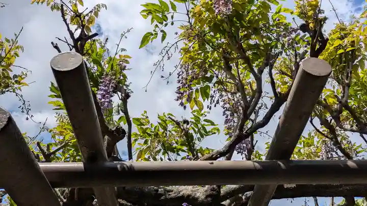 剣神社(京都府)