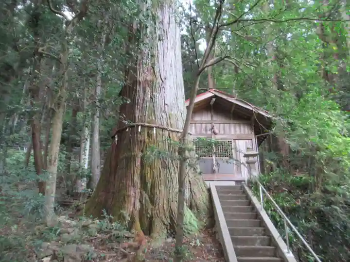 五柱神社(東京都)
