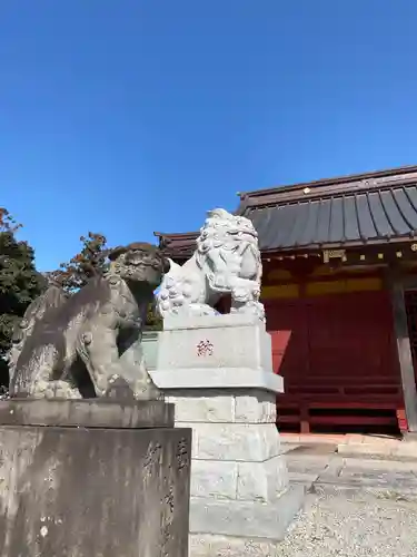 古尾谷八幡神社の狛犬