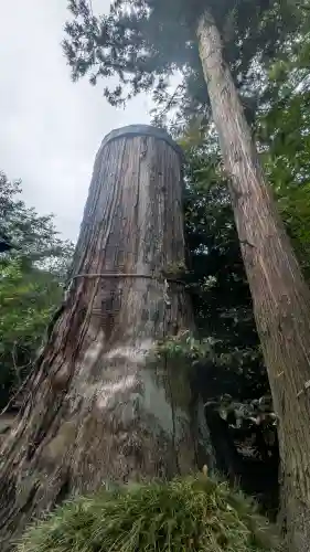 雄琴神社(栃木県)