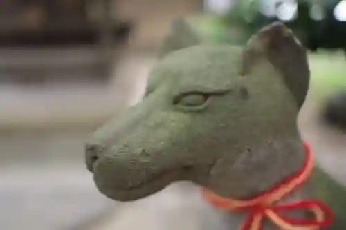 上落合神明神社の狛犬