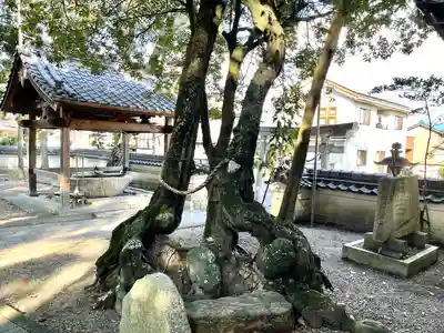 長谷神社(三重県)