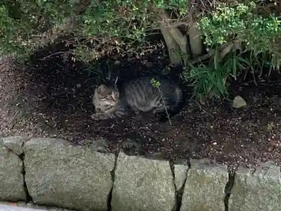 吉備津神社(岡山県)