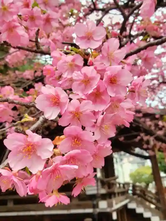 新宿下落合氷川神社(東京都)