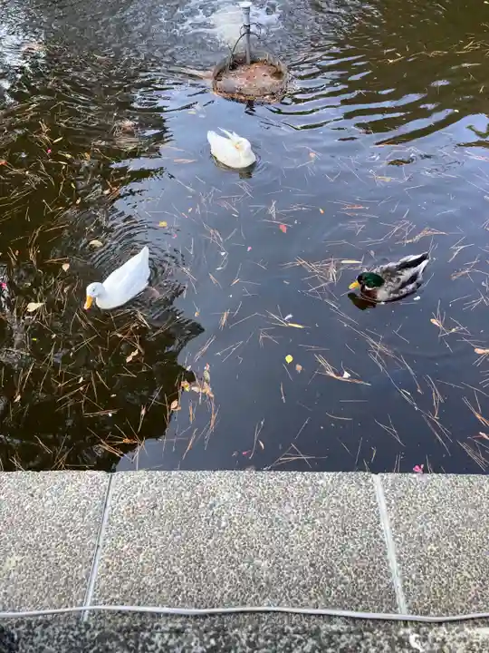 平塚八幡宮(神奈川県)