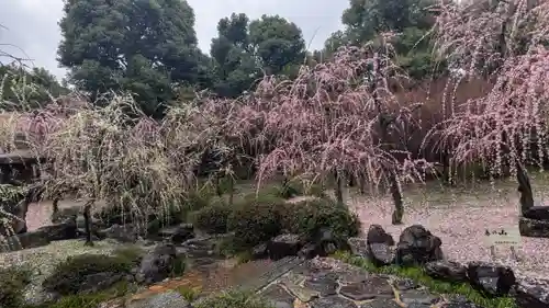城南宮(京都府)
