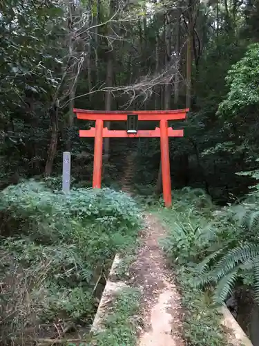 大縣神社の鳥居