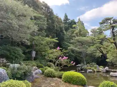 知恩院(京都府)