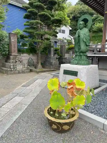 大運寺(神奈川県)